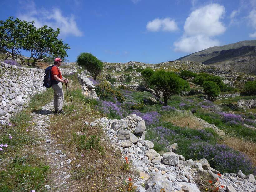 Diafánion Dorana Apartments & Trekking Hotel מראה חיצוני תמונה